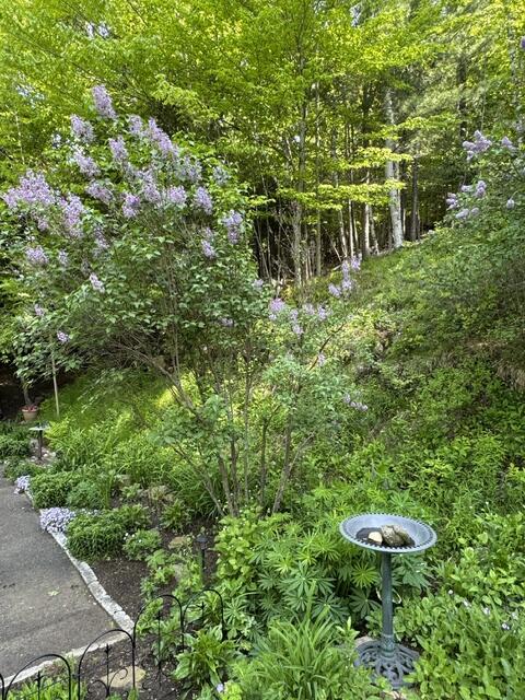 74 Old Lake Colby Road Saranac Lake NY 12983