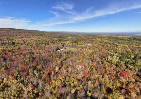 61 Mud Pond Road Peru NY 12972