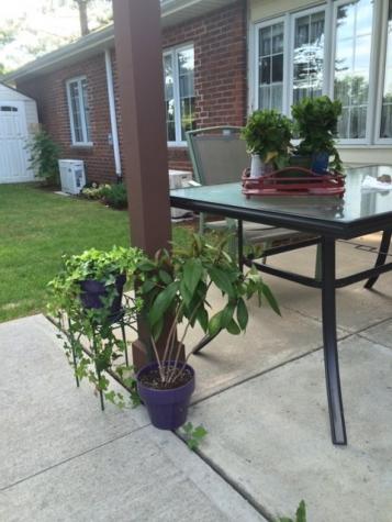 152 Maryland Road Plattsburgh NY 12903