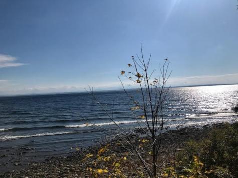 12 Holcombe Court Plattsburgh NY 12901