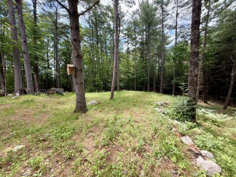 9084 Nys Route 9 Lewis NY 12950