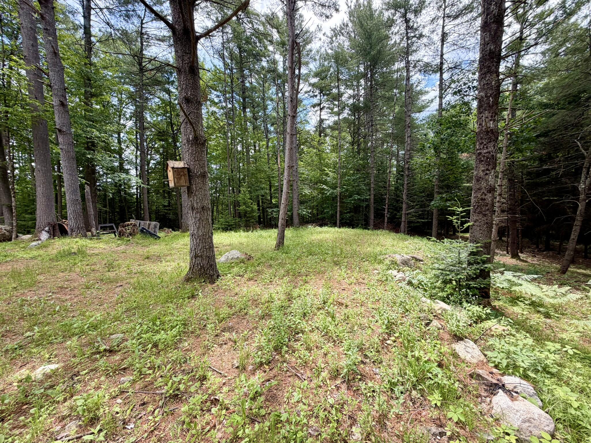 9084 Nys Route 9 Lewis NY 12950