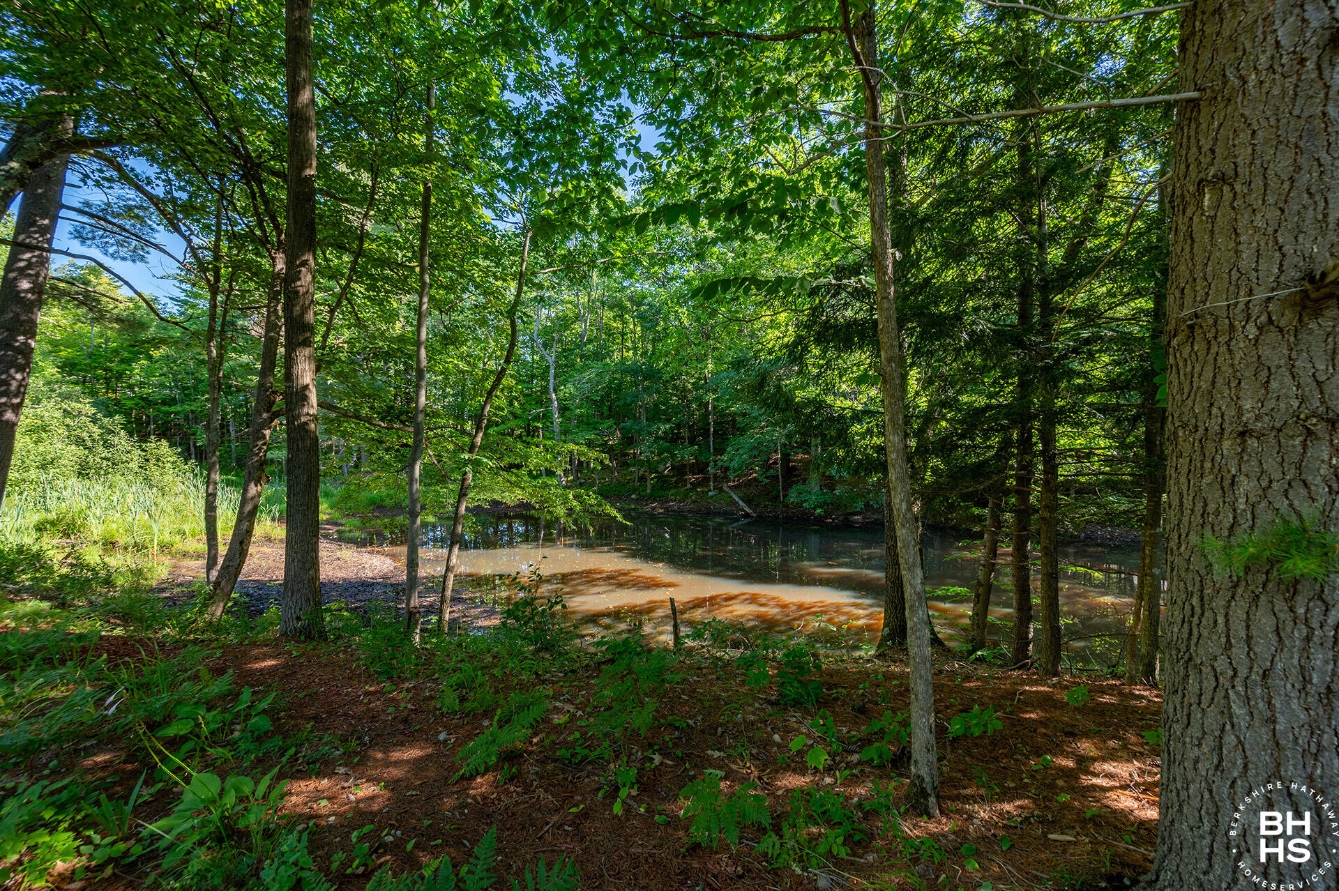 5560 Ny-86 Wilmington NY 12997