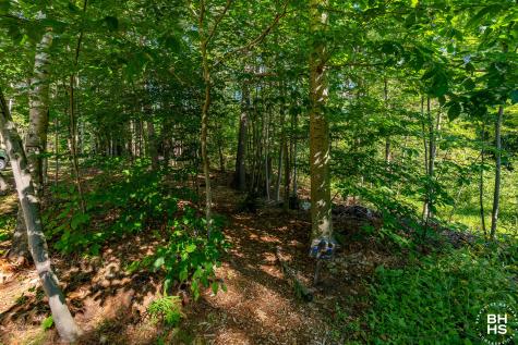 5560 Ny-86 Wilmington NY 12997