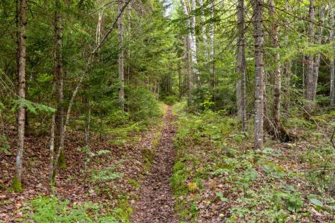 25 Snowberry Lane Lake Placid NY 12946