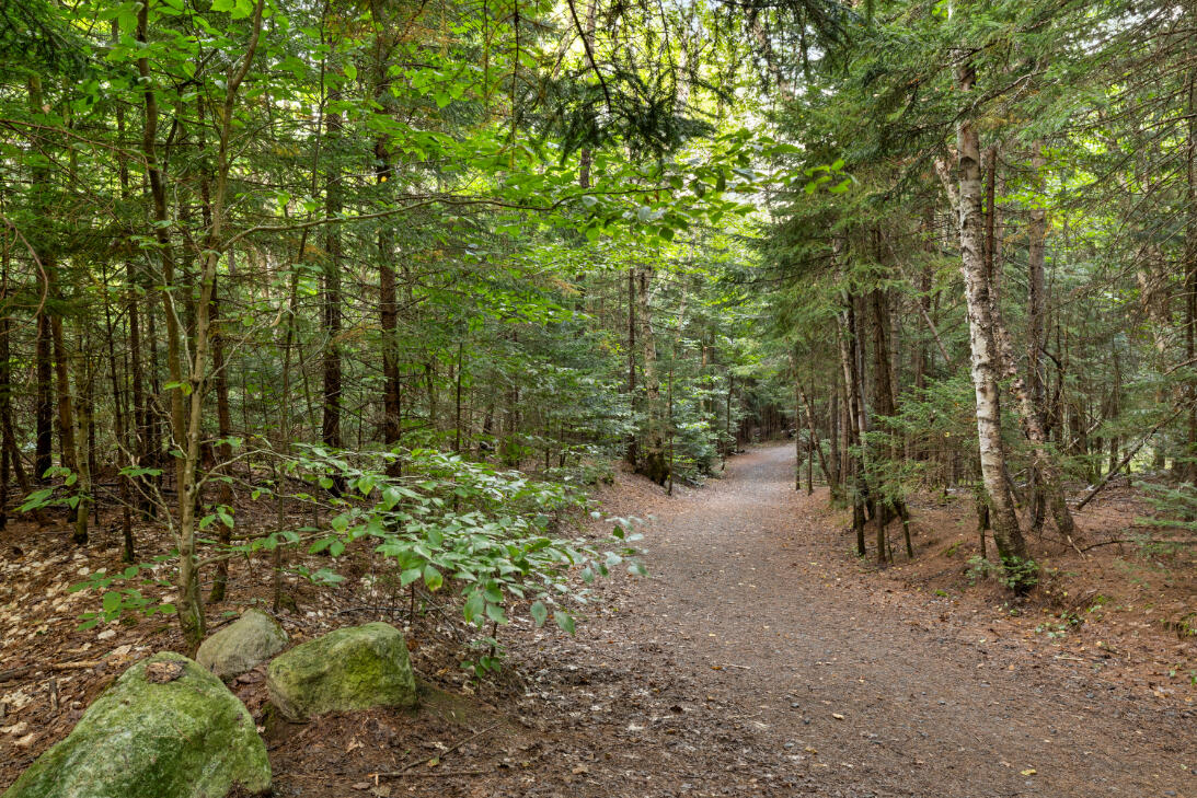 25 Snowberry Lane Lake Placid NY 12946