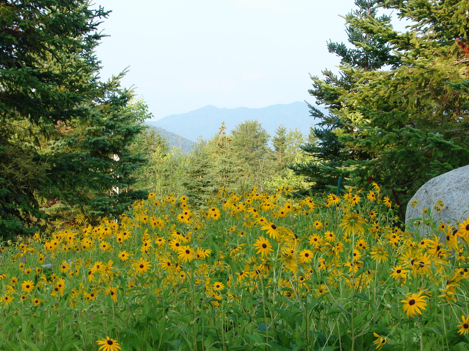 7 Whiteface Inn Lane Lake Placid NY 12946