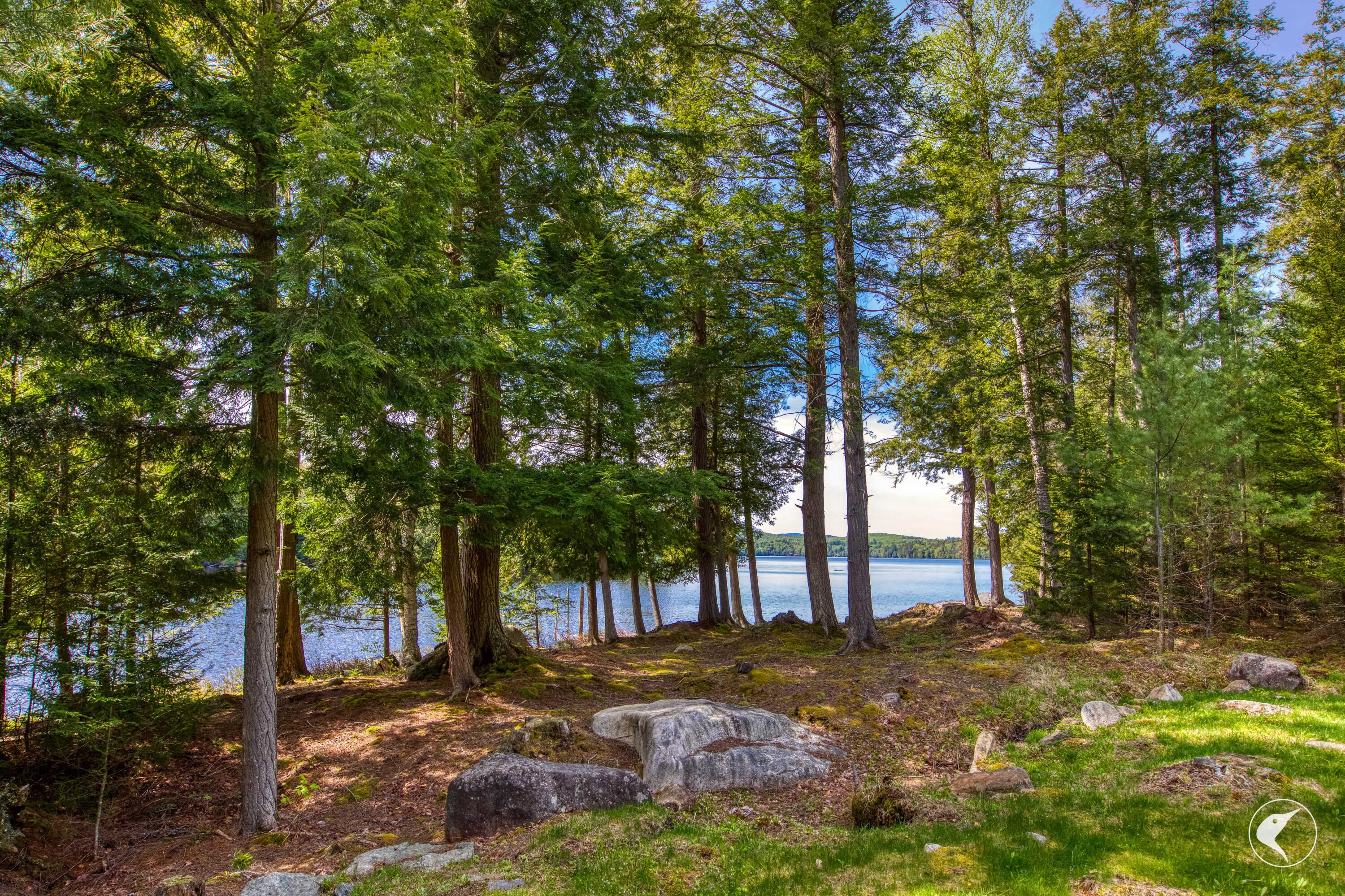 741 Bartlett Carry Road Saranac Lake NY 12983