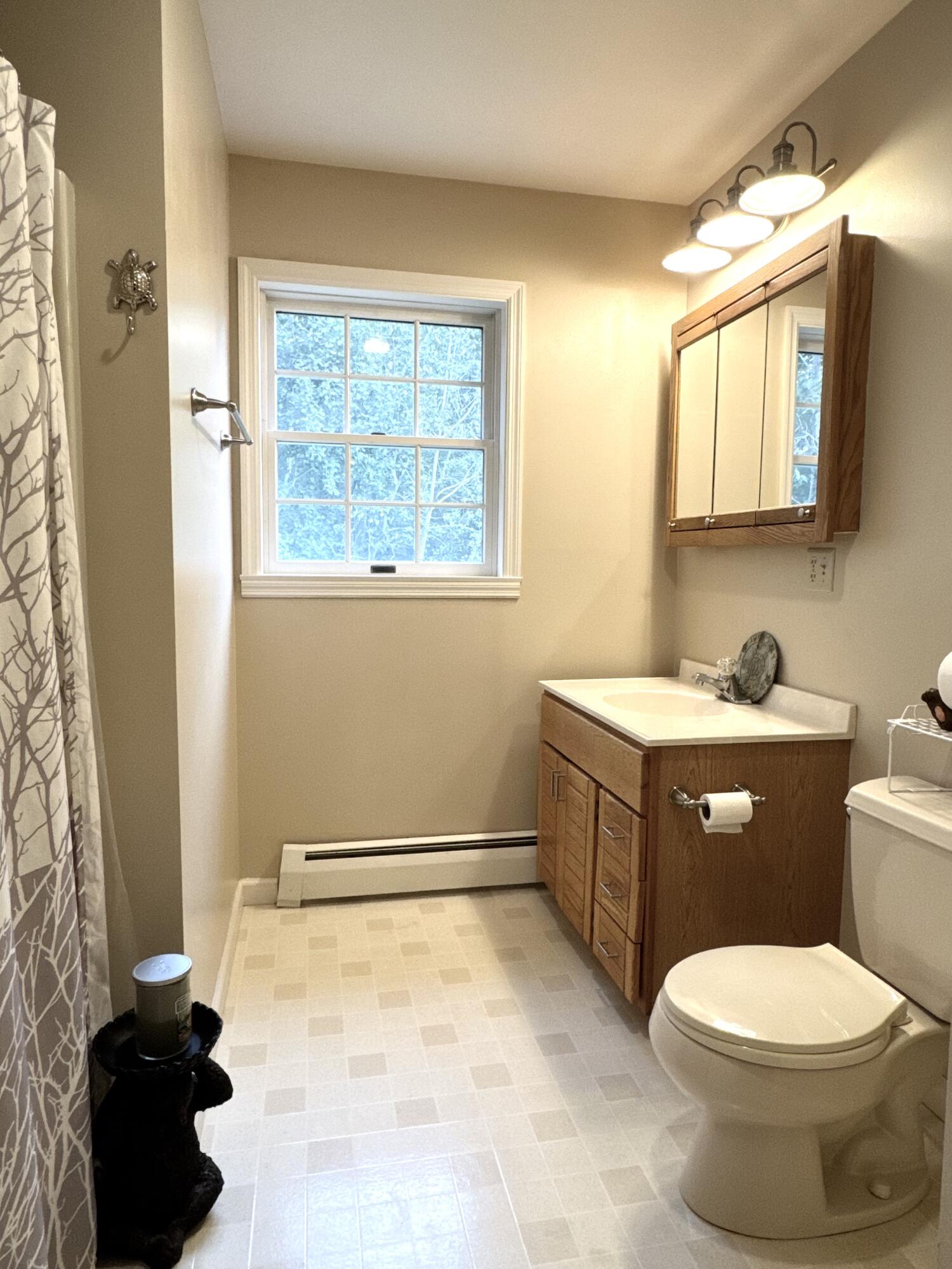 19 Alfreda Court Morrisonville NY 12962