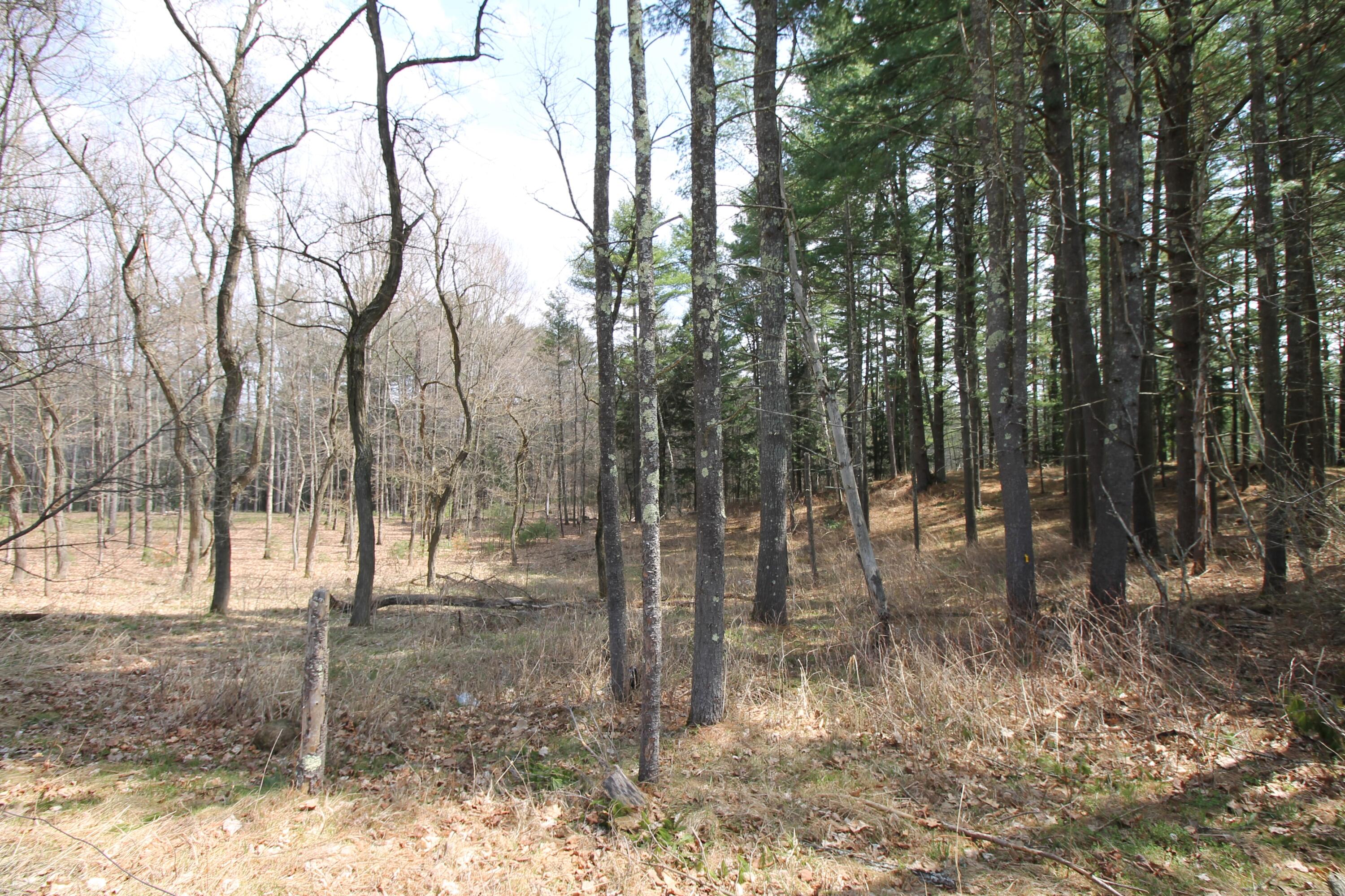 8586 U.s. 9 Lewis NY 12950