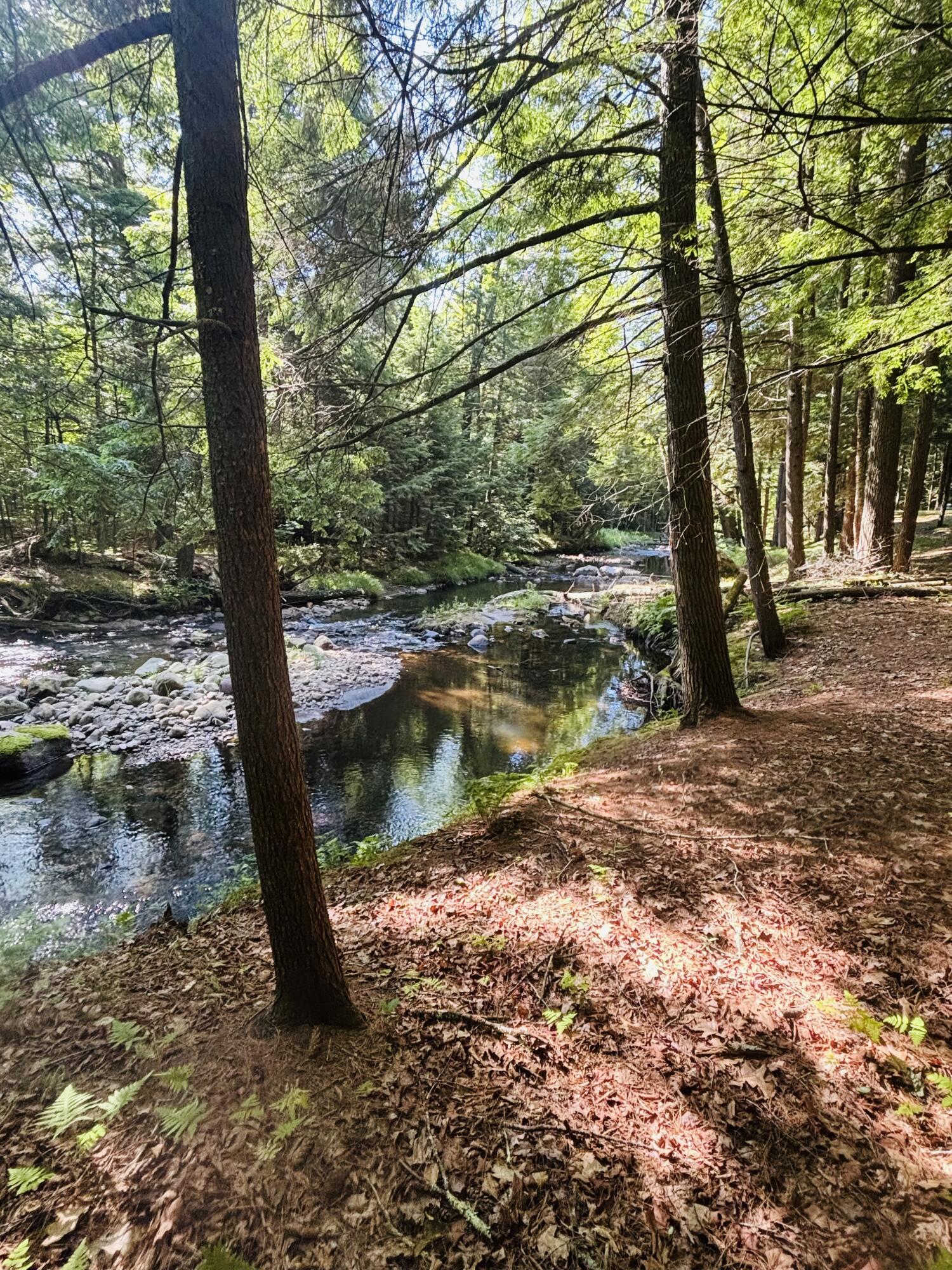 8586 U.s. 9 Lewis NY 12950
