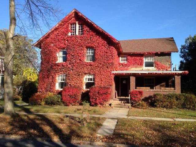 31 Lorraine Street Plattsburgh NY 12901
