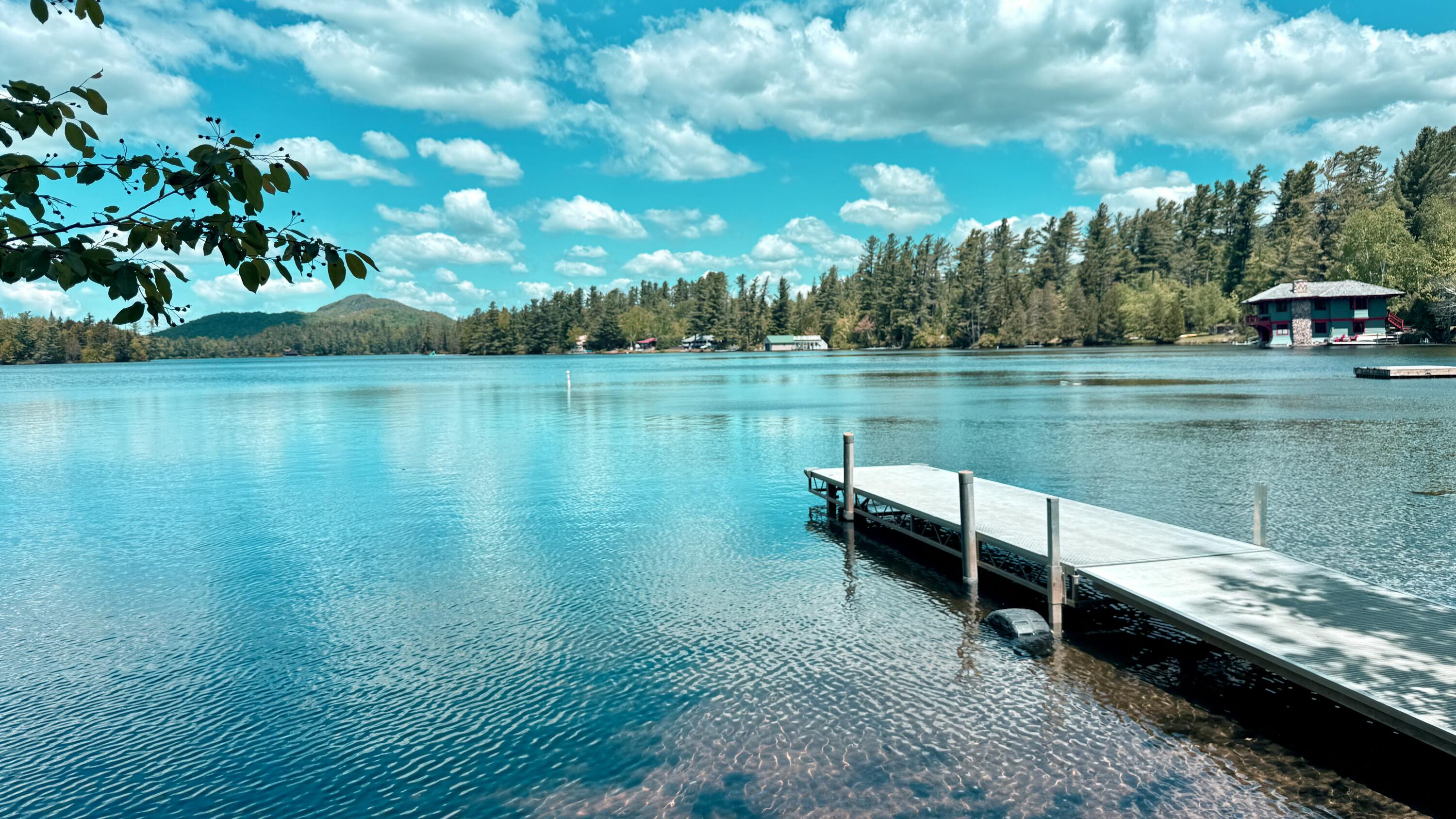 1 Oak Lane Loon Lake NY 12989