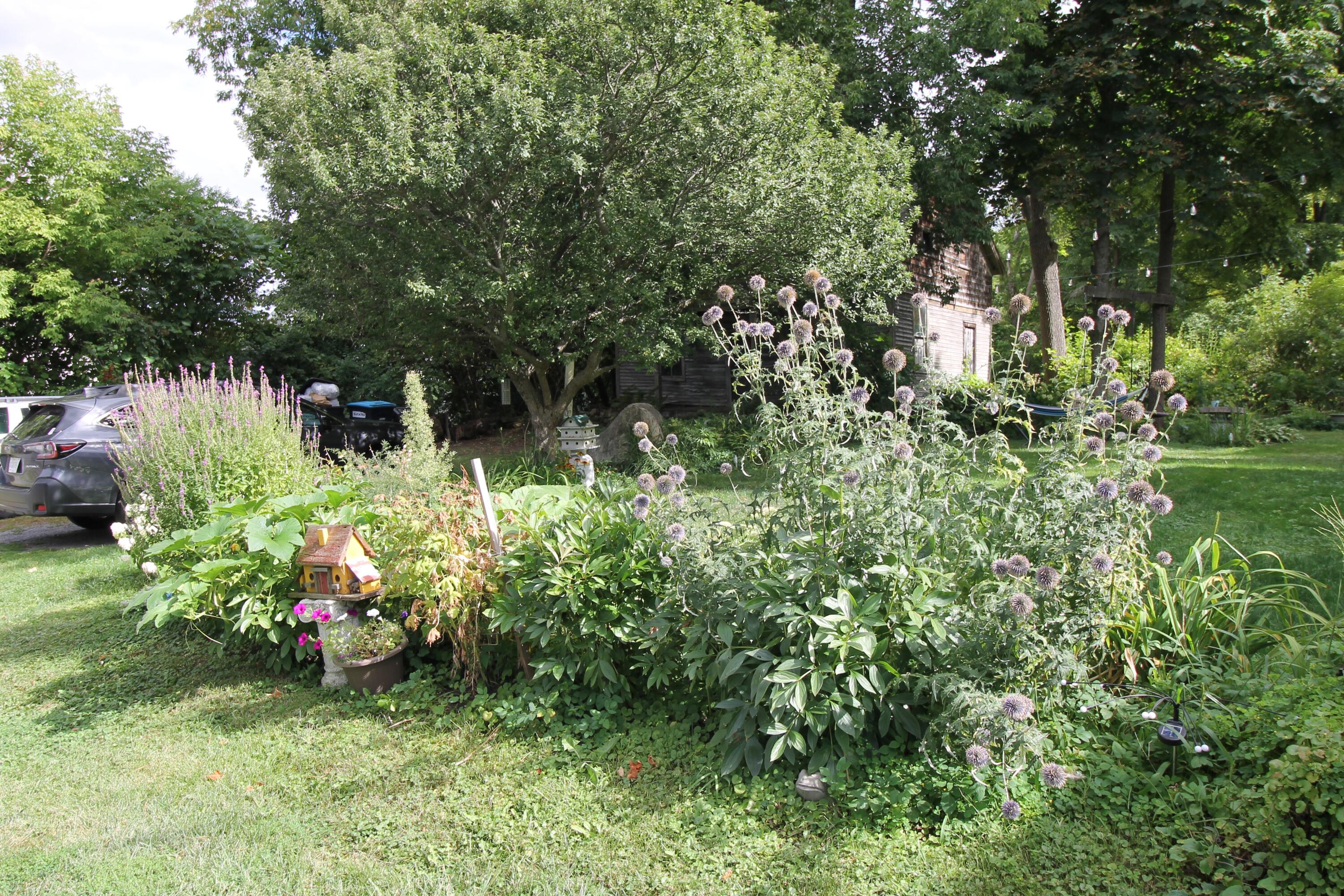 69 Old Arsenal Road Westport NY 12993