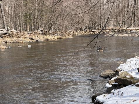 24 Mcdonald Road Mooers Forks NY 12959