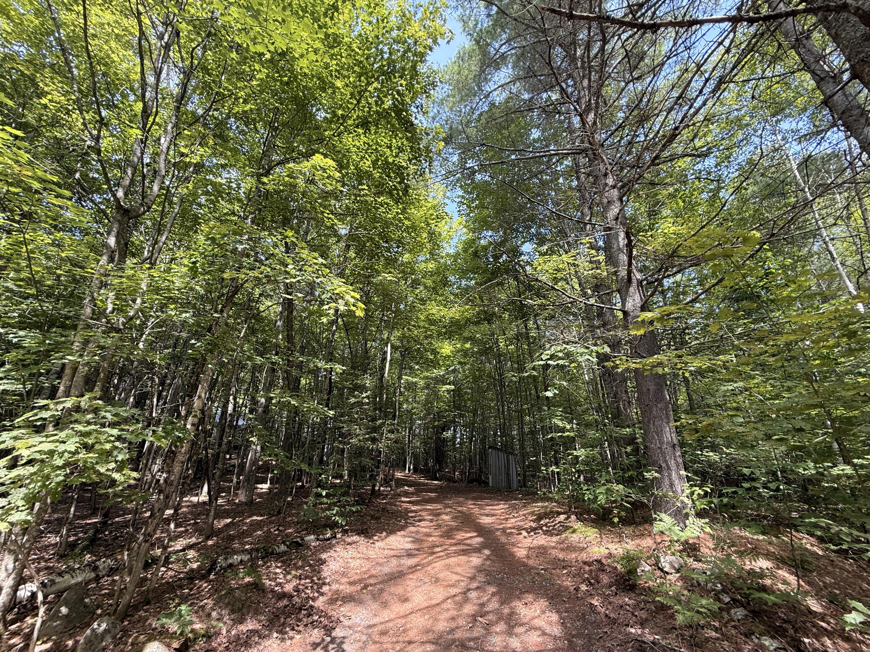 3475 County Route 26 Loon Lake NY 12989