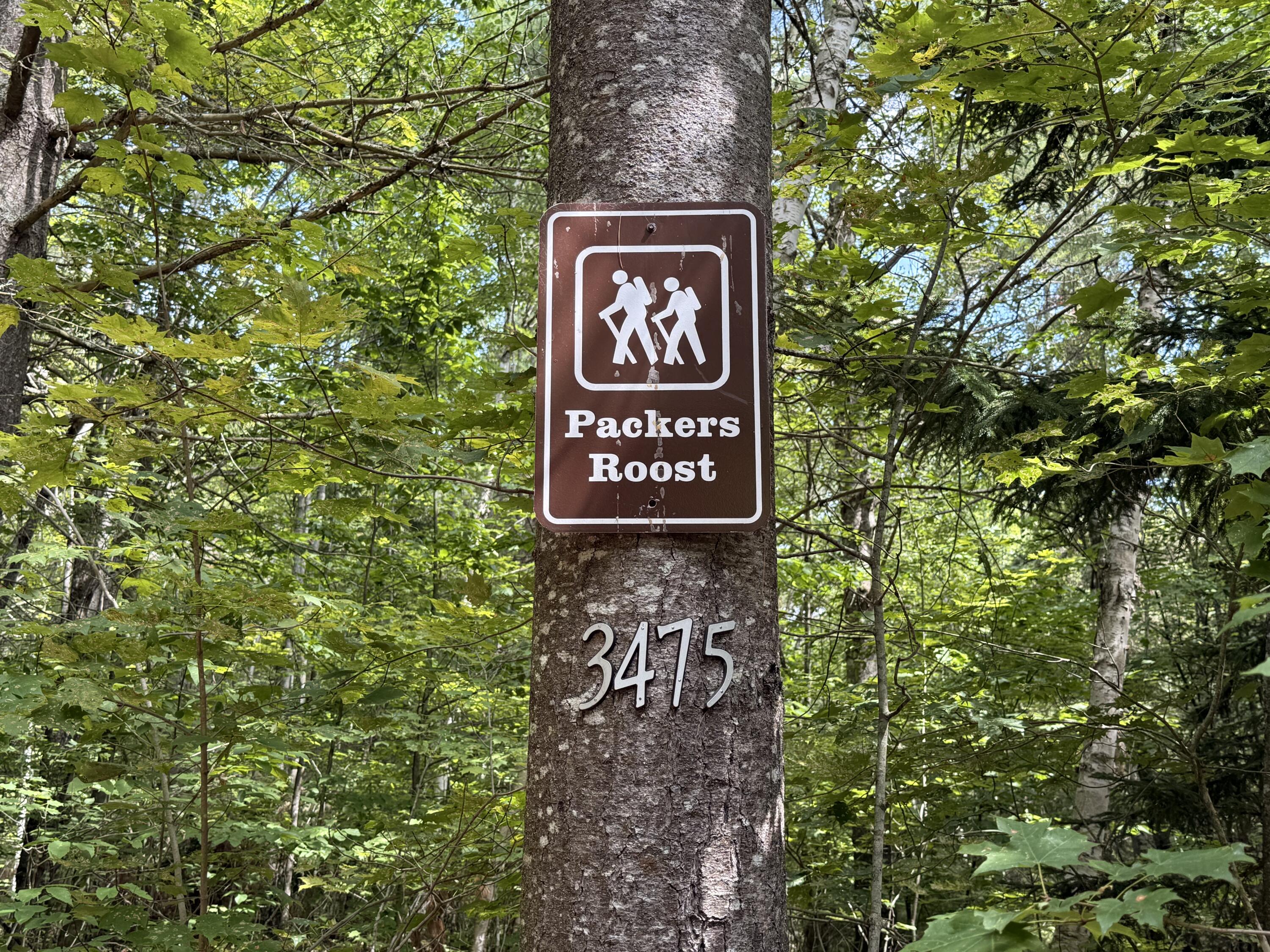 3475 County Route 26 Loon Lake NY 12989
