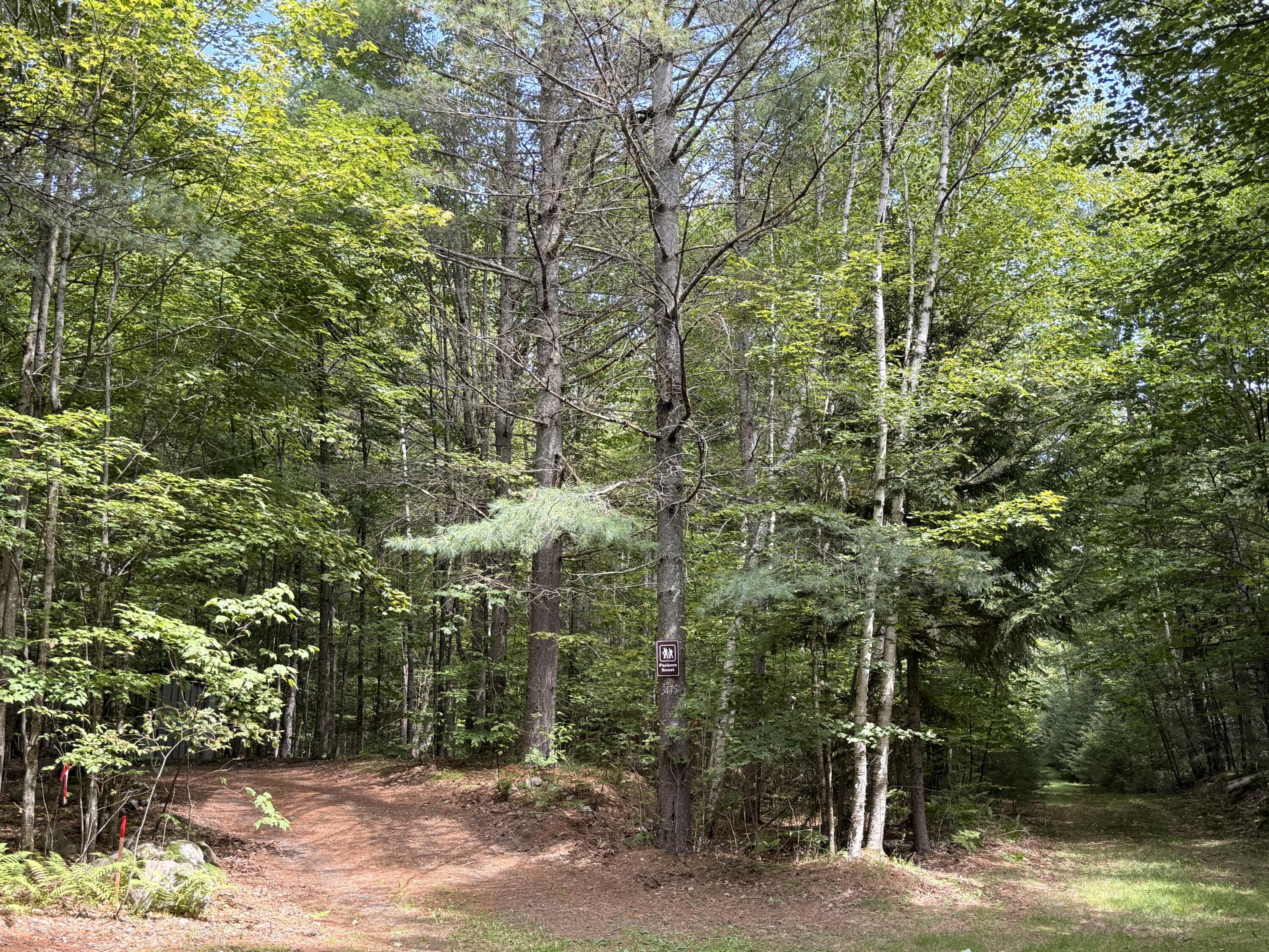 3475 County Route 26 Loon Lake NY 12989