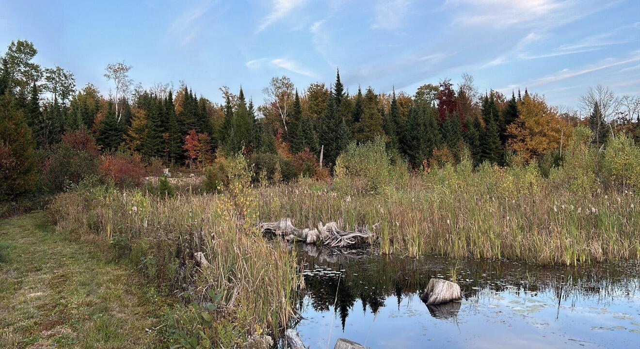 1560 Rand Hill Road Altona NY 12910