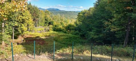 39 Oak Lane Loon Lake NY 12989