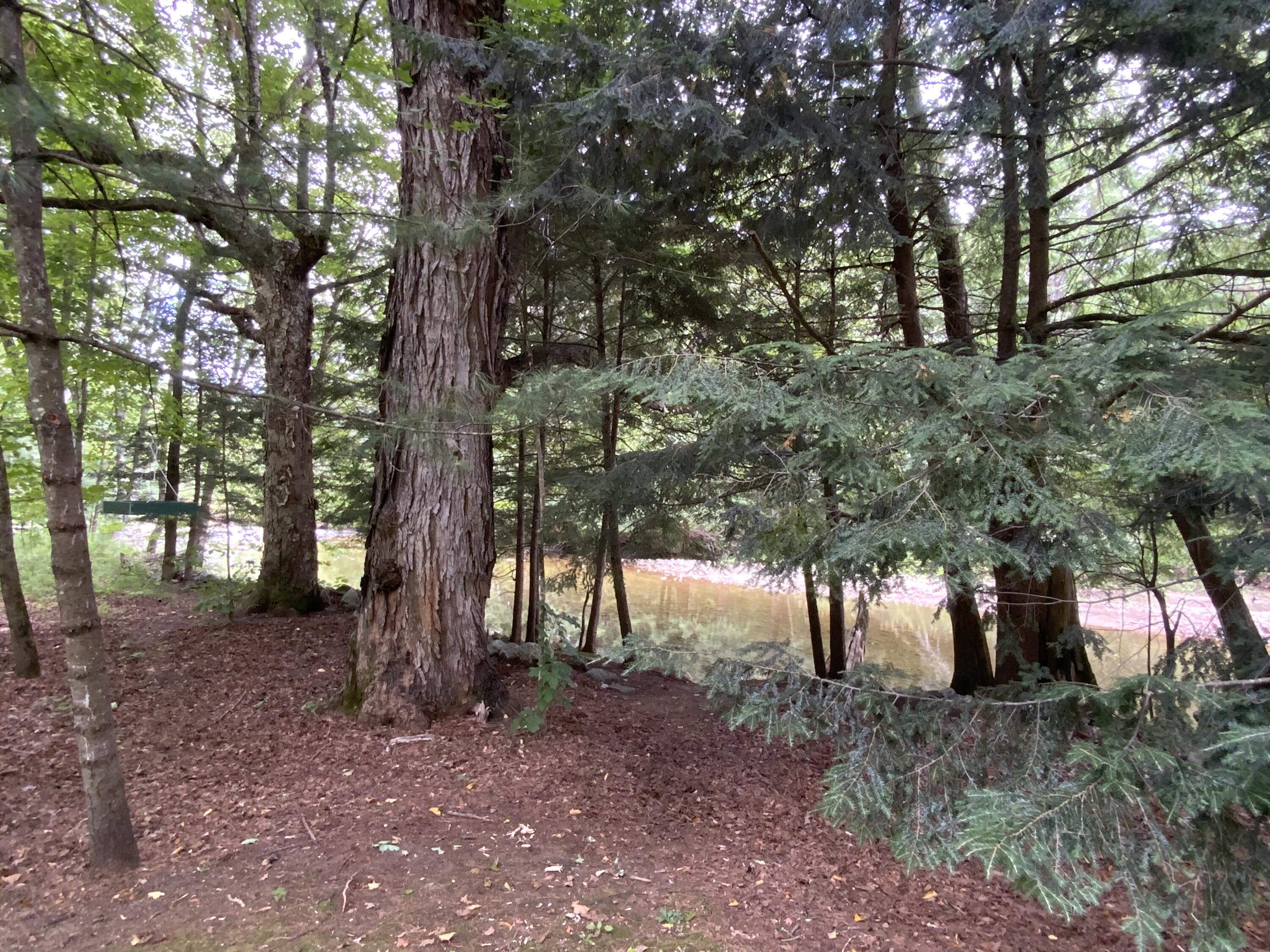 6378 Route 9 Elizabethtown NY 12932