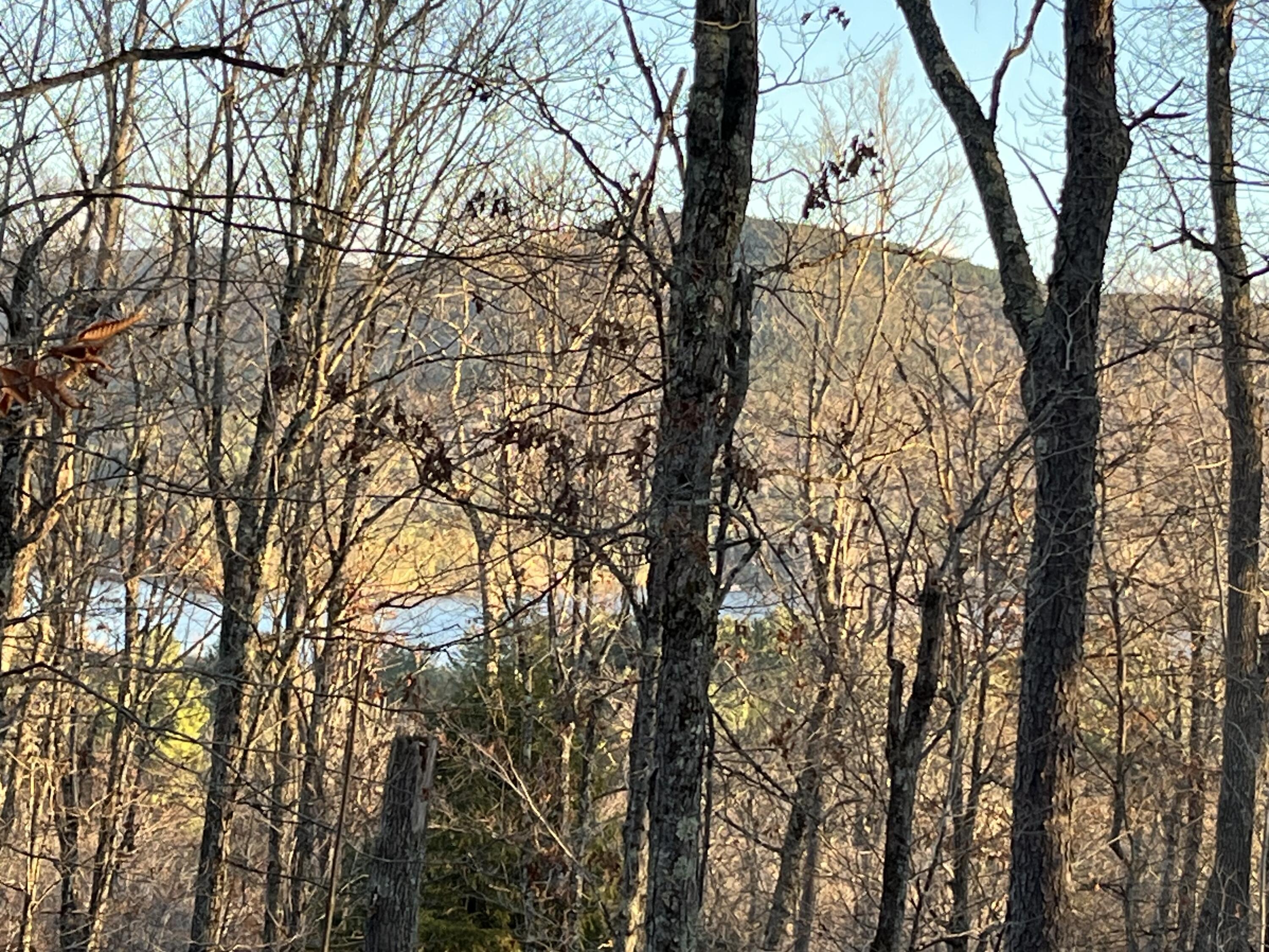 1482 Tupper Road Long Lake NY 12847