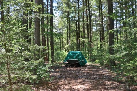 7 Hemlock Lane Lewis NY 12950