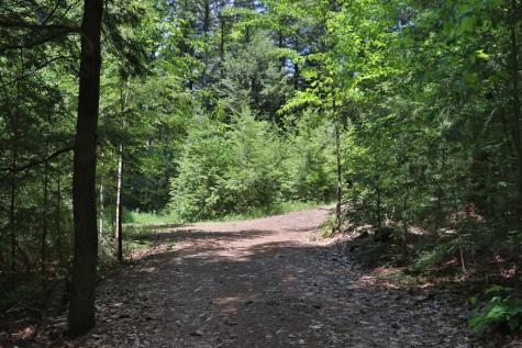 7 Hemlock Lane Lewis NY 12950
