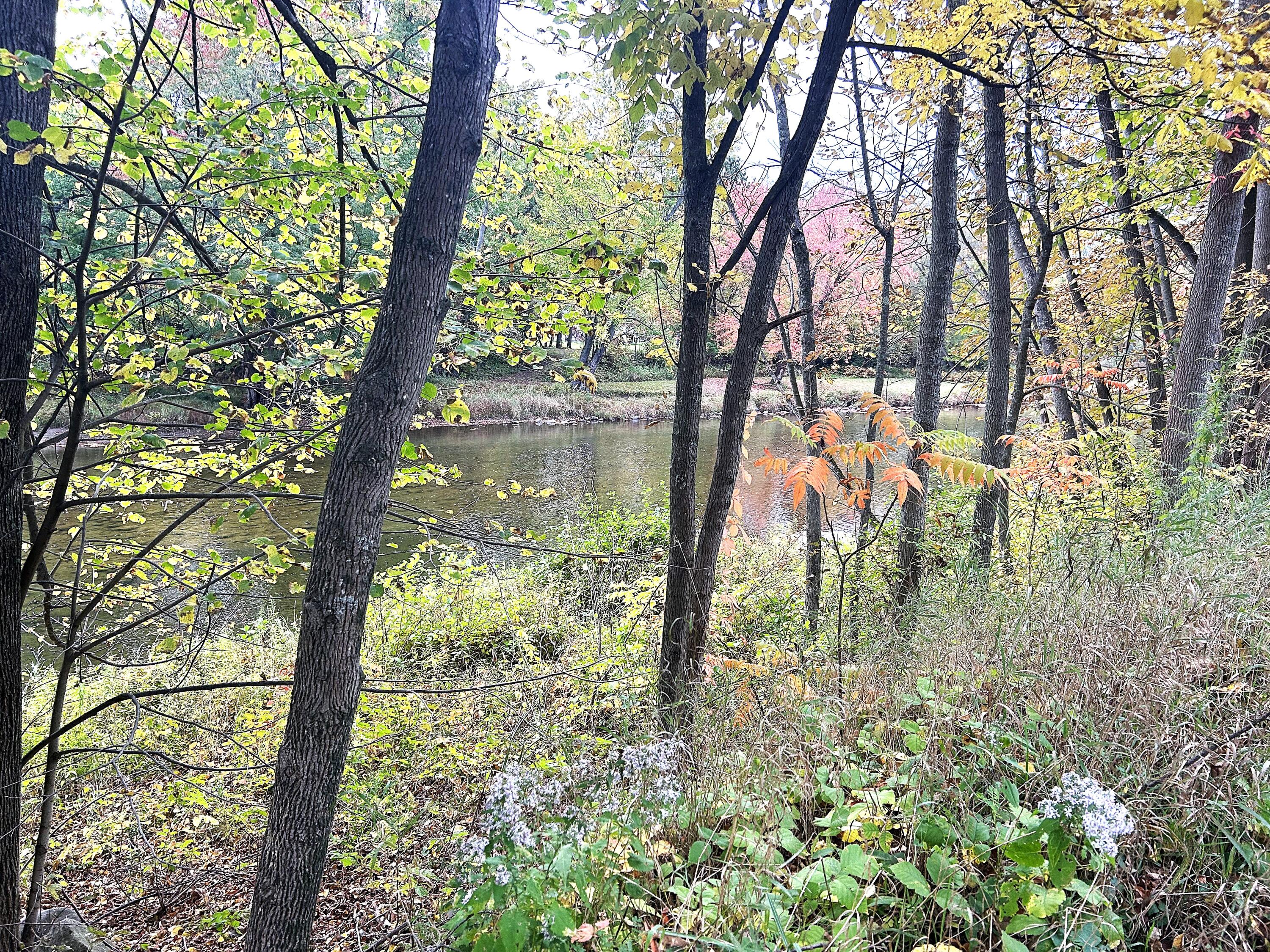 456 Shelldrake Road Au Sable Forks NY 12912
