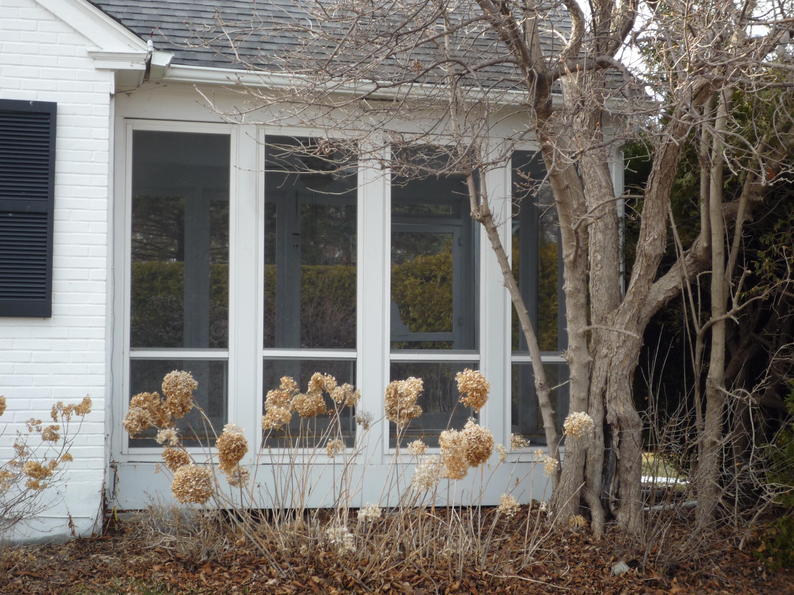 31 Cumberland Avenue Plattsburgh NY 12901