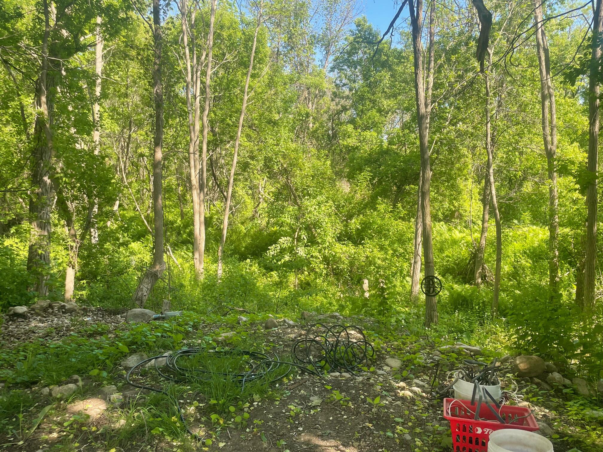 3081 U.s. 11 Mooers NY 12958