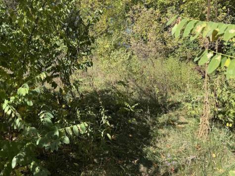 256 Route 9n Keeseville NY 12944