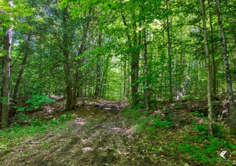 67 Sherman Lake Road Crown Point NY 12928