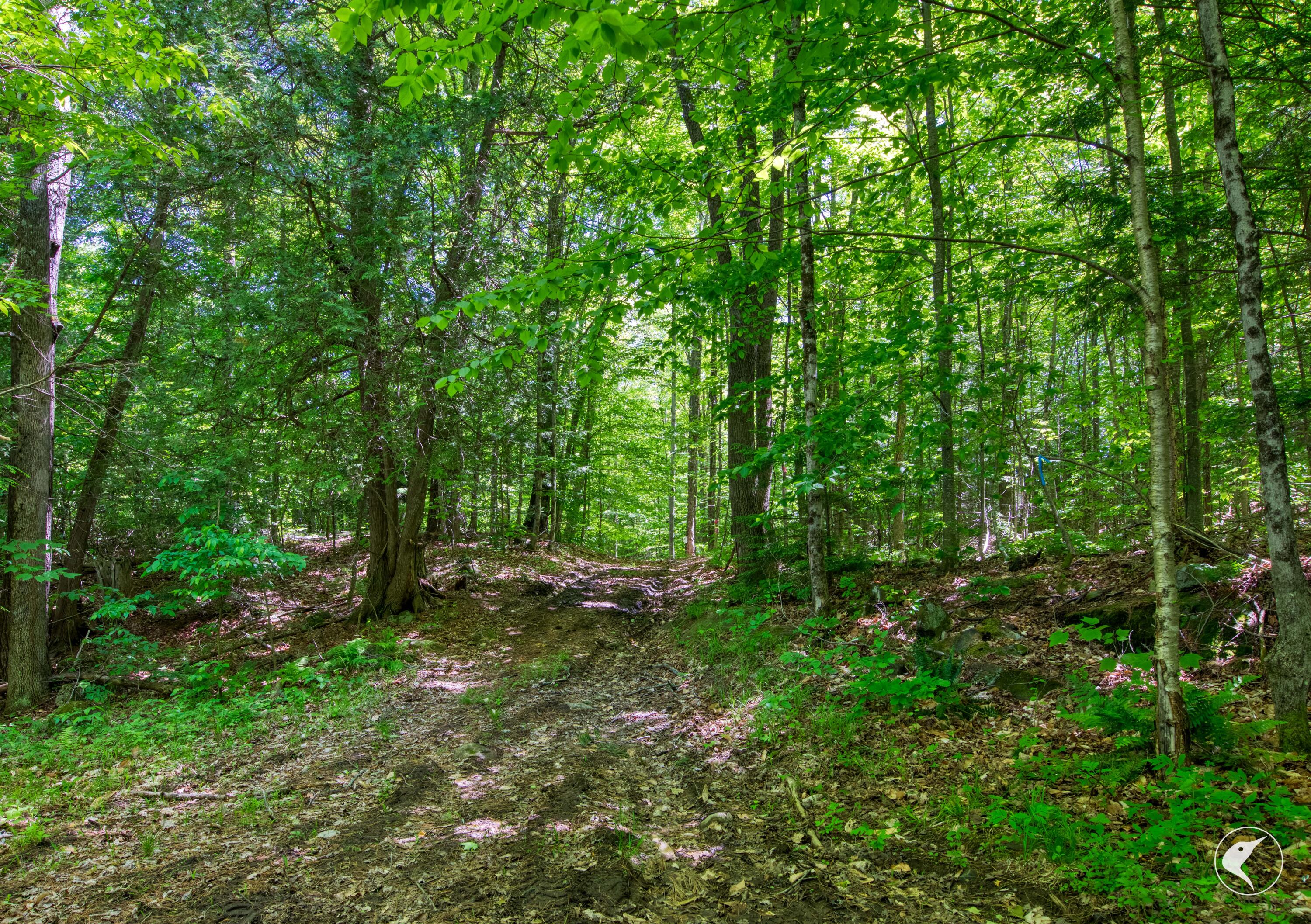 67 Sherman Lake Road Crown Point NY 12928