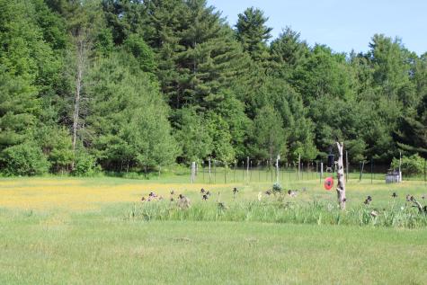 1287 N Star Road Mooers NY 12958