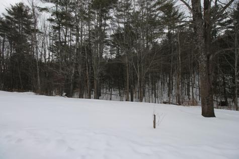 76 Moss Road Lewis NY 12950