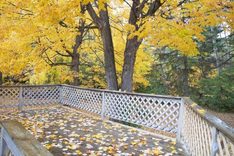 13 Alford Boulevard Plattsburgh NY 12901