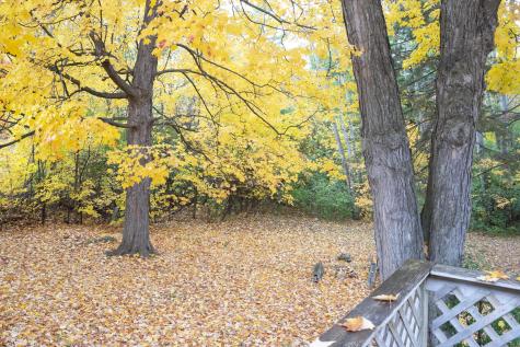 13 Alford Boulevard Plattsburgh NY 12901