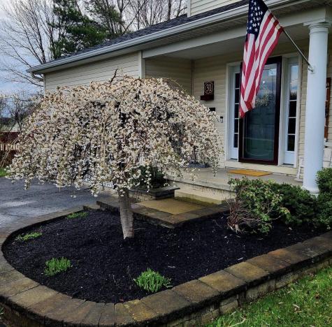 31 Tom Miller Road Plattsburgh NY 12901