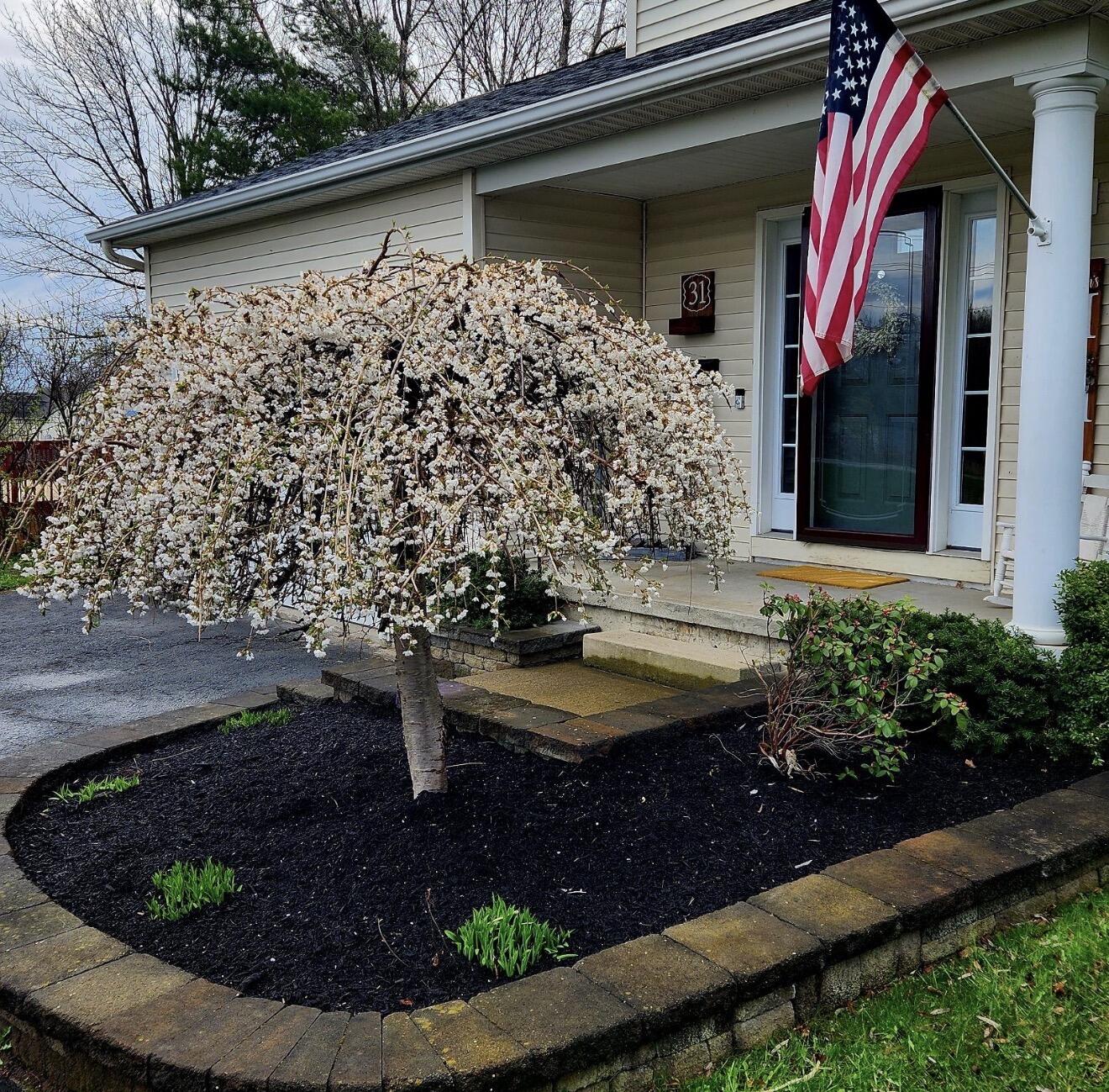 31 Tom Miller Road Plattsburgh NY 12901