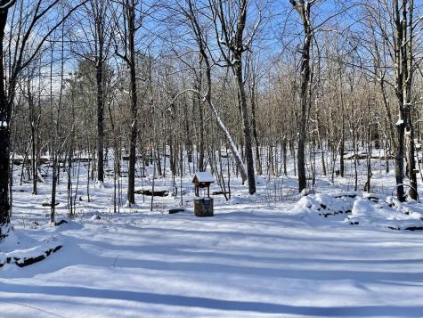 8523 Route 22 West Chazy NY 12992