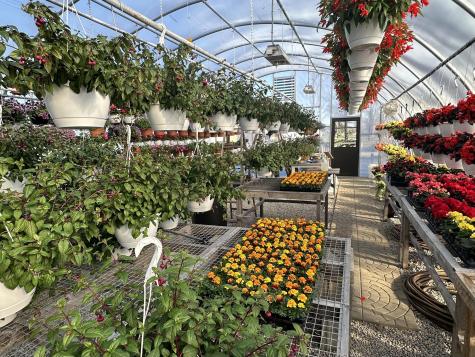 8523 Route 22 West Chazy NY 12992