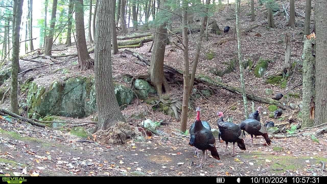 735 Highland Road Keeseville NY 12944