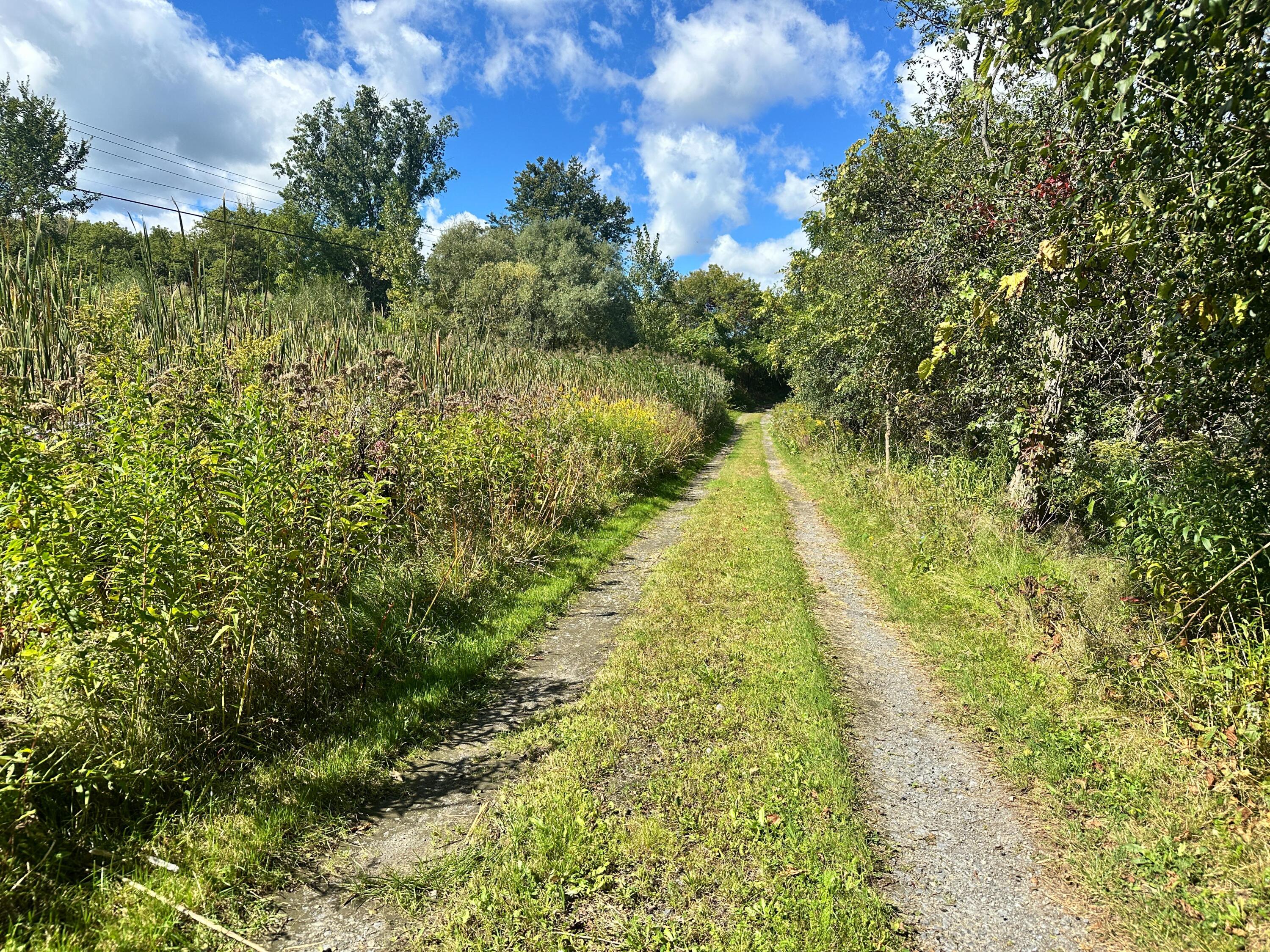 6600 Route 22 Plattsburgh NY 12901