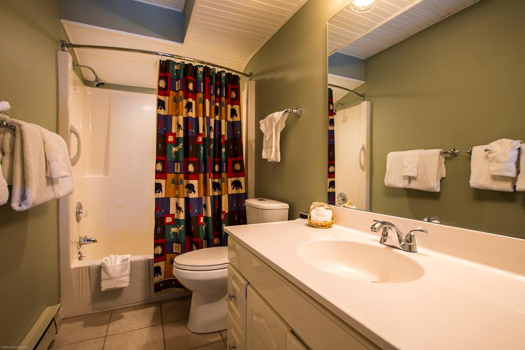 45 Dunn Way Lake Placid NY 12946