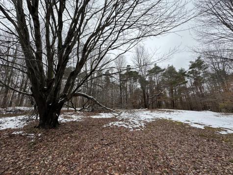 1026 County Route 25 Malone NY 12953