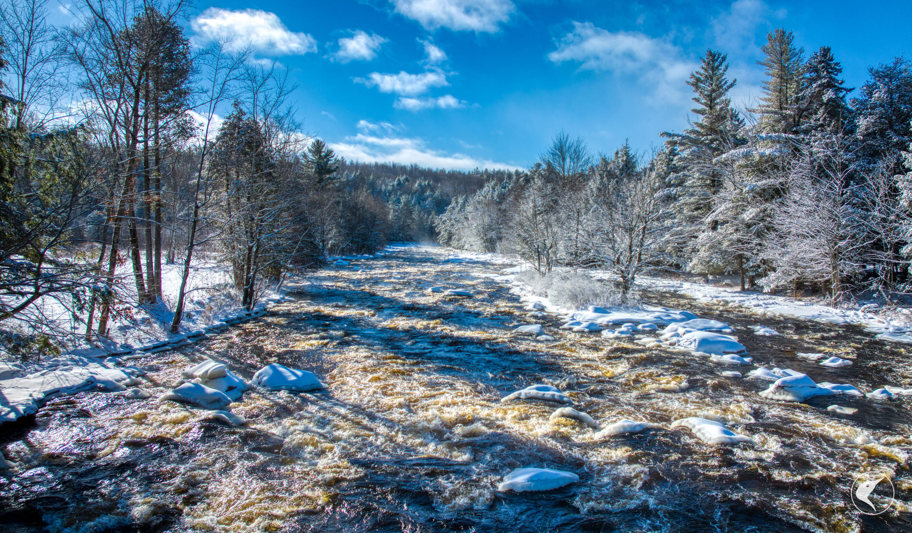 291 Hewitt Road St. Regis Falls NY 12980