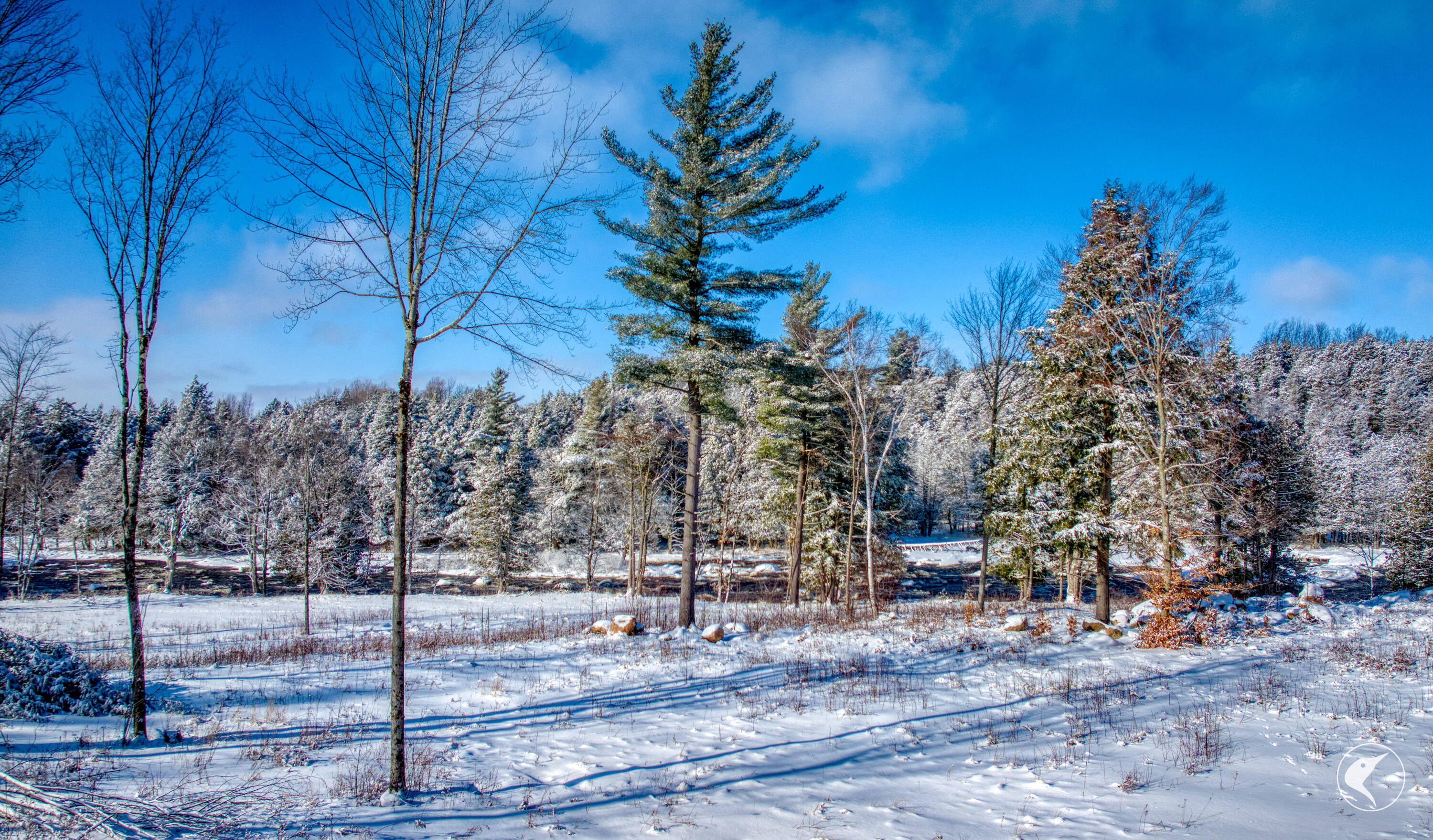 291 Hewitt Road St. Regis Falls NY 12980