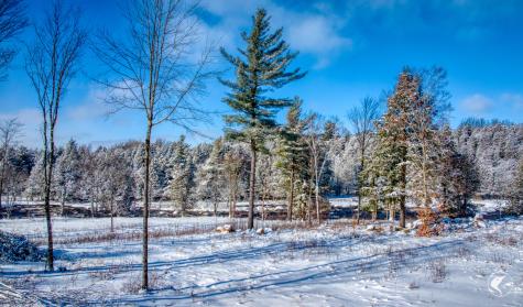 291 Hewitt Road St. Regis Falls NY 12980