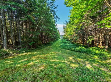 84 Indian Lake Road Owls Head NY 12969